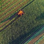 Agricultural harvesting at the last light of day, aerial view.